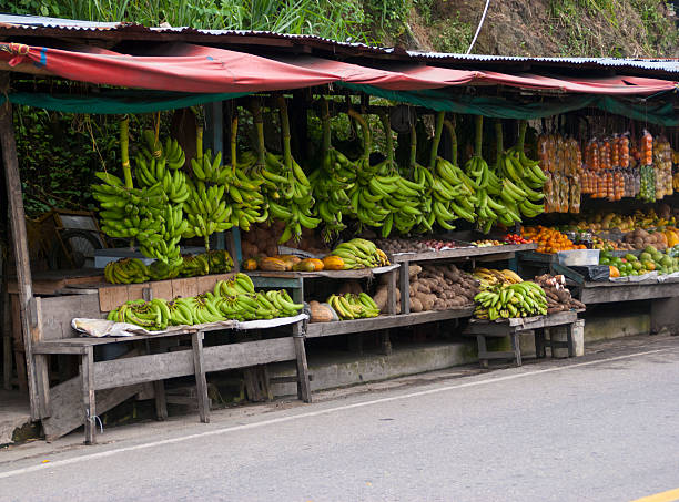 istock Colombian Roadside Produce Stand 482950183