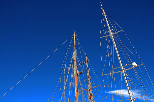 alberi sul blu - moored passenger ship rope lake foto e immagini stock