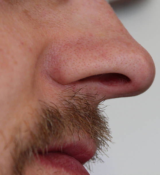 istock Close up image of a human nose and moustache 482952449