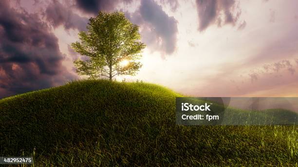 Paradise Stock Photo - Download Image Now - Tree of Life - Concept, Garden Of Eden - Old Testament, Religion