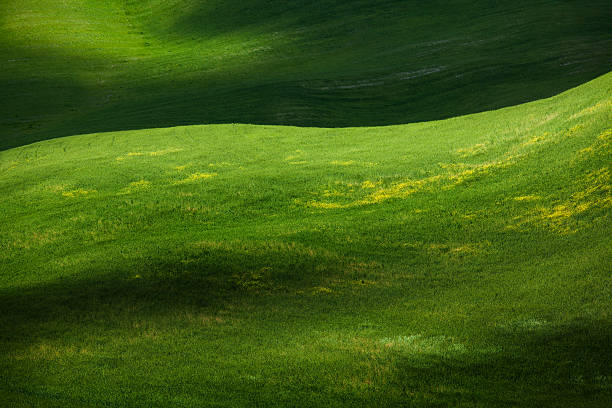 istock Green hills of Tuscany 482952825