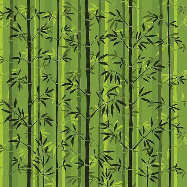 illustrazioni stock, clip art, cartoni animati e icone di tendenza di foresta di bambù di sfondo - bamboo asia backgrounds textured