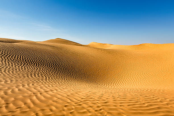 그랜드 에르그 오리엔털, 사하라 사막, 튀니지에 - great sand sea 뉴스 사진 이미지