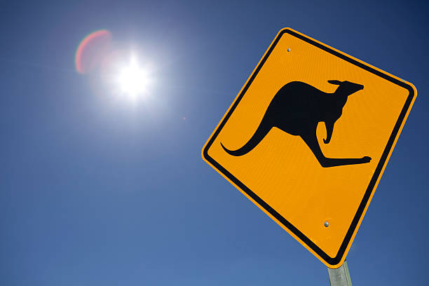 istock Kangaroo Sign in the Sun Austalia 482954201