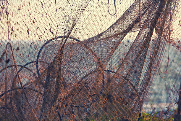 istock Fishing nets on the sea in the evening 482956266