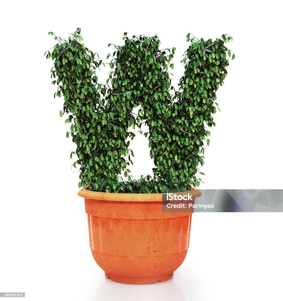 Tree letter w in pot Alphabet Stock Photo