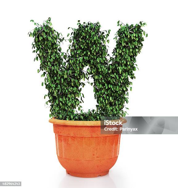 Tree Letter W In Pot Stock Photo - Download Image Now - Alphabet, Bush, Capital Letter