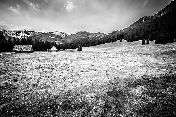 istock Beautiful Tatry landscape in black and white 482964873