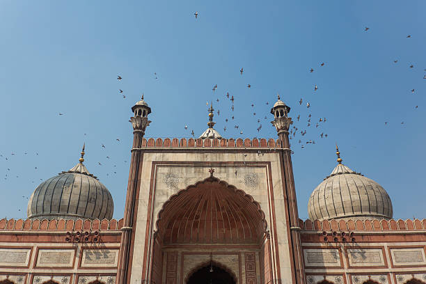 istock Jama Masjid Mosque Birds 482966497