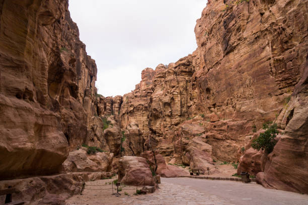 istock The Siq in Petra, Jordan 482966535