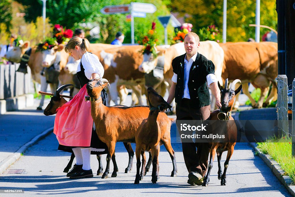 Agricultores que os animais ao aelplerfest - Royalty-free Agricultor Foto de stock