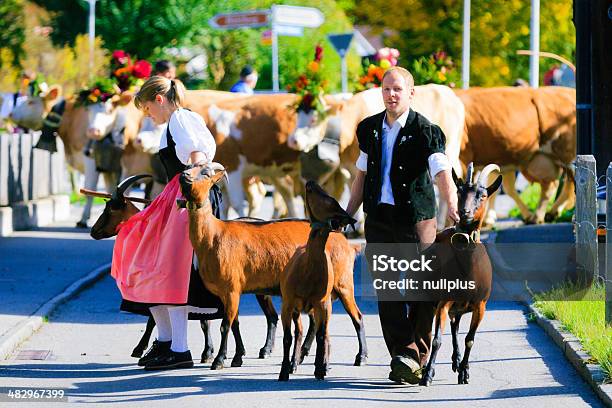 Agricultores Que Os Animais Ao Aelplerfest - Fotografias de stock e mais imagens de Agricultor - Agricultor, Alpes Europeus, Cabra - Mamífero ungulado