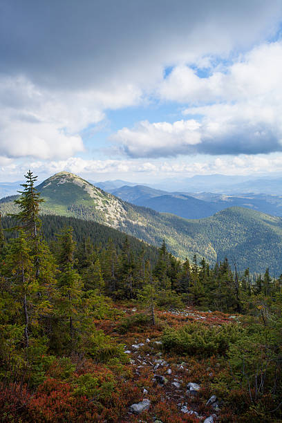 istock road to the mountains with blue sky in Carpathian 482967583
