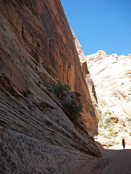 istock Hiking in Capitol Reef canyon 482968064