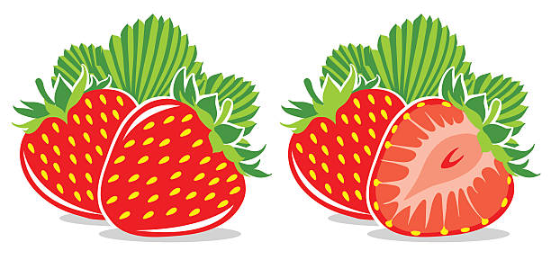 570+ Two Strawberries Stock Illustrations, Royalty-Free Vector