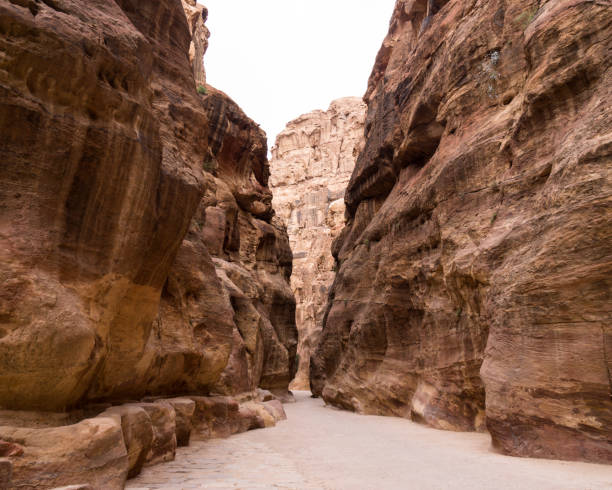 istock The Siq in Petra, Jordan 482968365