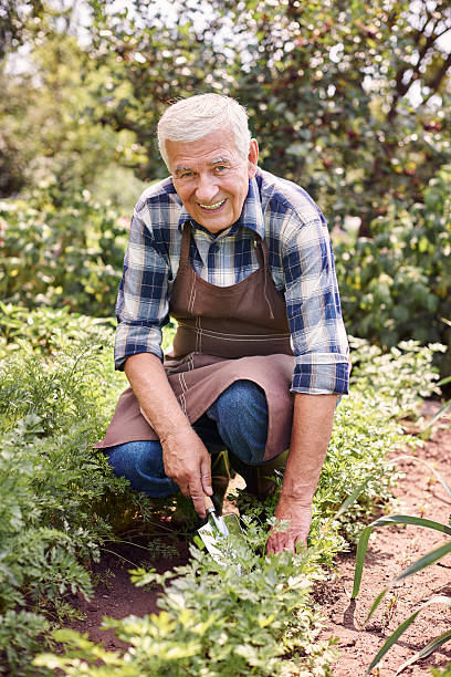istock It's good to have access to organic vegetables 482968628