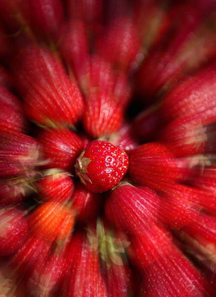 Zooming in on Strawberries