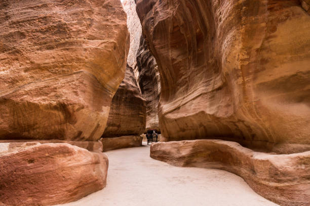 istock The Siq in Petra, Jordan 482969289