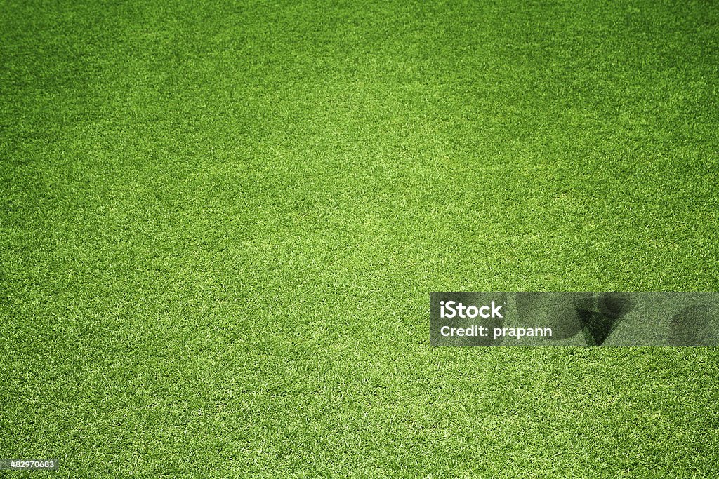 Green grass background Backdrop - Artificial Scene Stock Photo