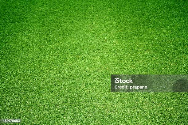 Green Grass Background Stock Photo - Download Image Now - Backdrop - Artificial Scene, Backgrounds, Beauty