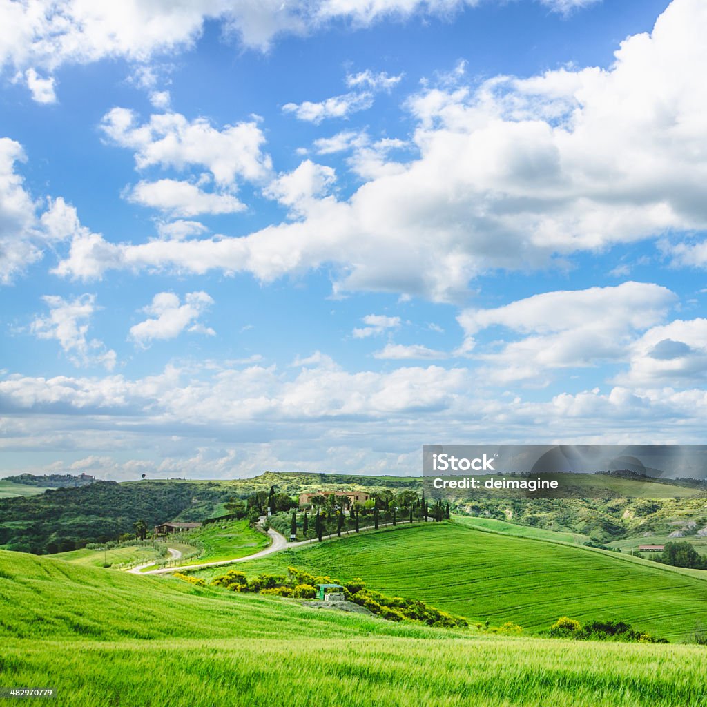 Colline toscane - Foto stock royalty-free di Agricoltura