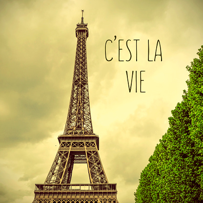 the Eiffel Tower with a retro effect and the text cest la vie, that is life in french