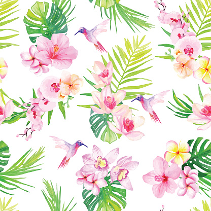 Hummingbirds and tropical flowers seamless vector pattern