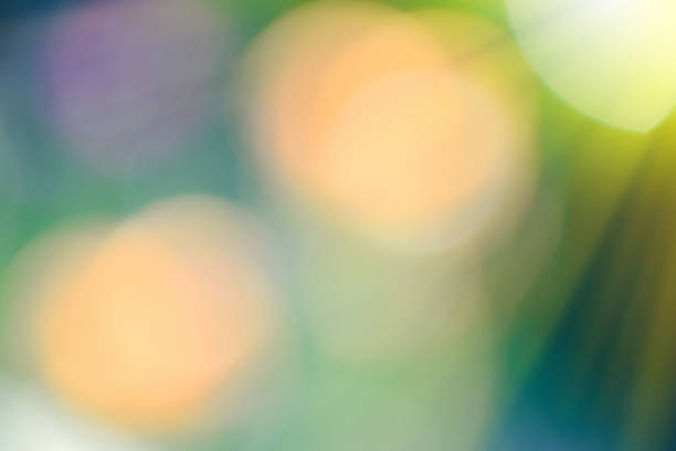 istock Green leaves and flowers blurred background in sunlight 482975654