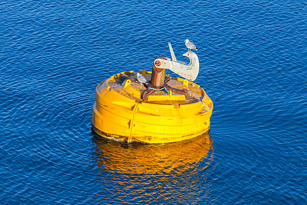 istock Yellow buoy with seagulls floats on water 482978278