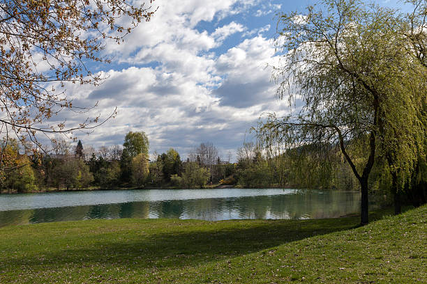 istock Silbersee near Villach 482978728