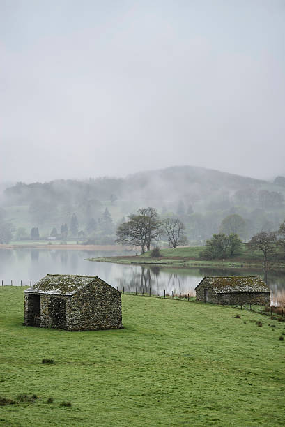 istock Landscape on misty morning of fields around Lake Windermere 482979392