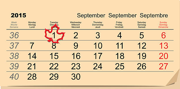 1. september – zurück zur schule. maple leaf auf kalender - time month rear view calendar stock-grafiken, -clipart, -cartoons und -symbole