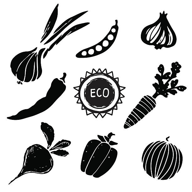 ilustrações de stock, clip art, desenhos animados e ícones de conjunto de produtos hortícolas - healthy eating onion onion family common beet