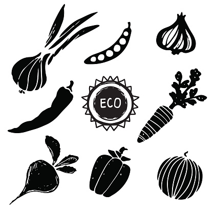 Vegetables set, black sketch hand drawn icons isolated on a white background. Art logo design - vector artwork