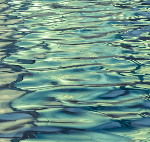 istock Abstract green color background of blurred water surface 482983838