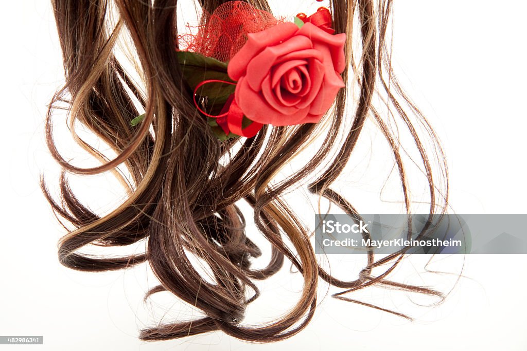 Red rose in the hair Red rose in the hair on white background Artificial Stock Photo