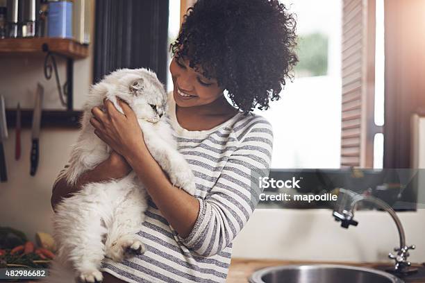 Arent You The Cutest Stock Photo - Download Image Now - Domestic Cat, Women, Embracing
