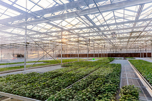 Garden Center Greenhouse