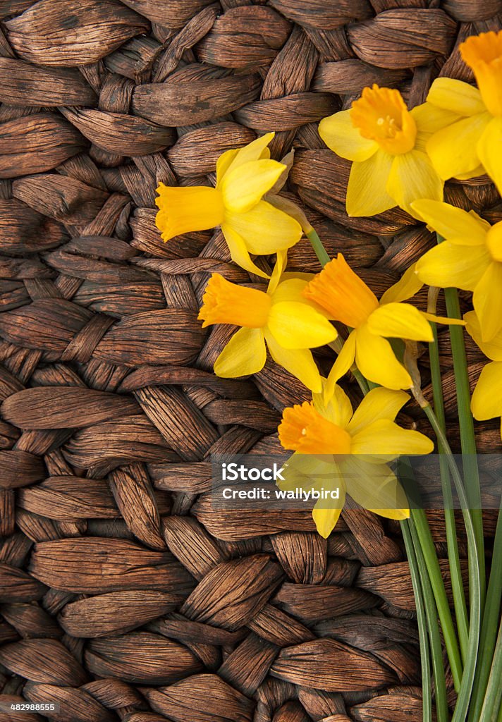 Daffodils on Contrasting Background vertical orientation close up of brightly colored daffodils against a contrasting, dark, woven surface with copy space on the left side Backgrounds Stock Photo