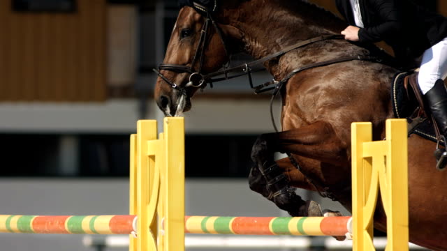 HD Super Slow-Mo: Horse Rider Jumping Over Square Oxer