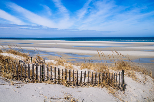 Wind blown beach grass and sand fences help maintain the fragile dunes along Mayflower Beach in Dennis, Massachusetts