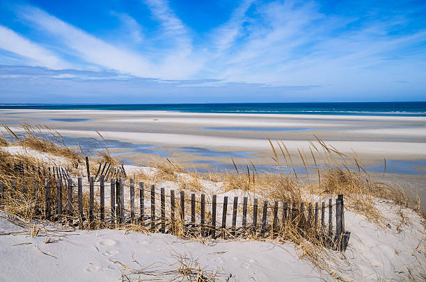 Low Tide on Mayflower Beach Wind blown beach grass and sand fences help maintain the fragile dunes along Mayflower Beach in Dennis, Massachusetts cape cod photos stock pictures, royalty-free photos & images