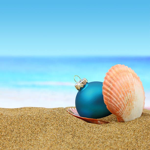 istock hristmas ball in a sea shell on the beach 482990835