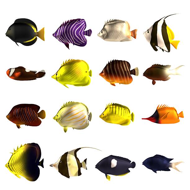 istock tropical fishes 482990955