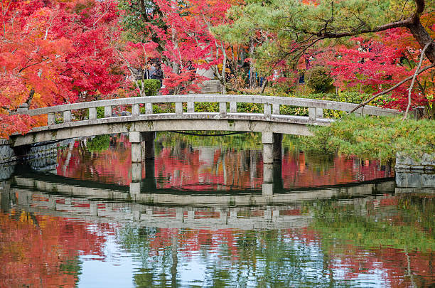 herbst laub im stone bridge in eikando-tempel - sakyo stock-fotos und bilder