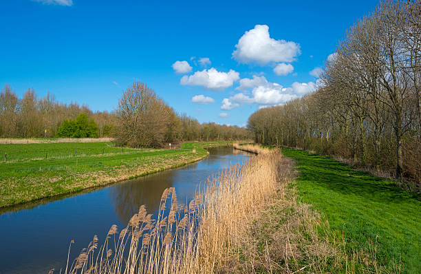 istock Canal through a rural landscape in spring 482991923