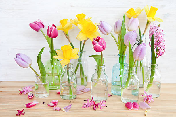 istock Colorful flowers in little bottles 482993183