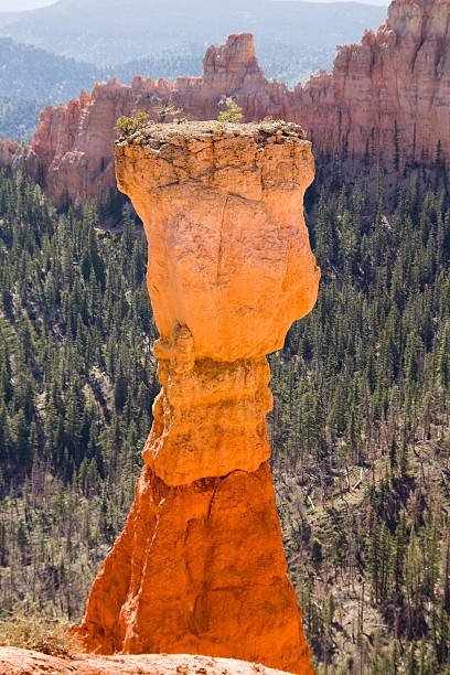 Single hoodoo in Bryce Canyon stock photo