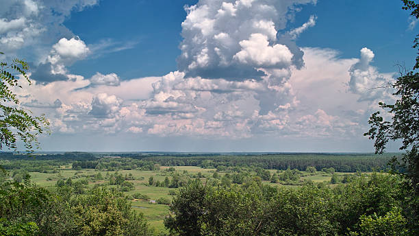 istock Woodland under cloudy sky 482994578